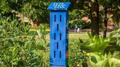 Ag Science Bus Stop butterfly garden