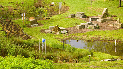 Farm Road Rain Garden