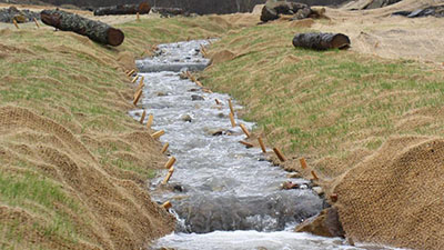 A stream at Guy Cove